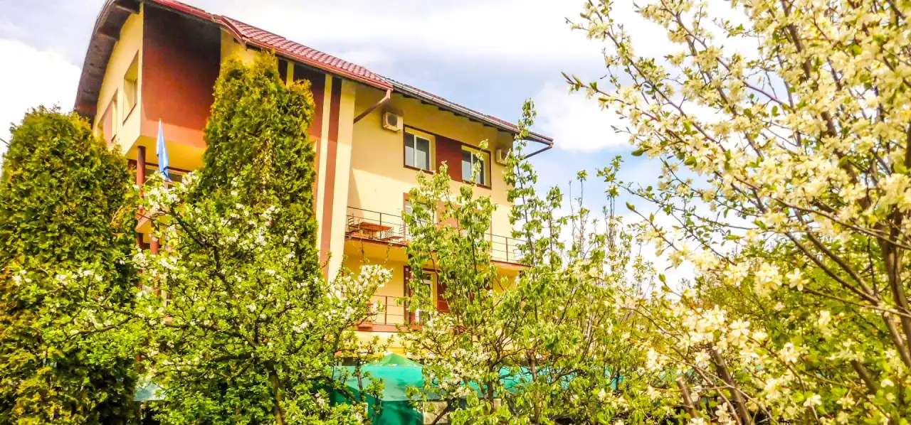 pensiune vila europa cluj - cazare pensiune cluj napoca